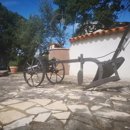 Luna Apartamento Šajini