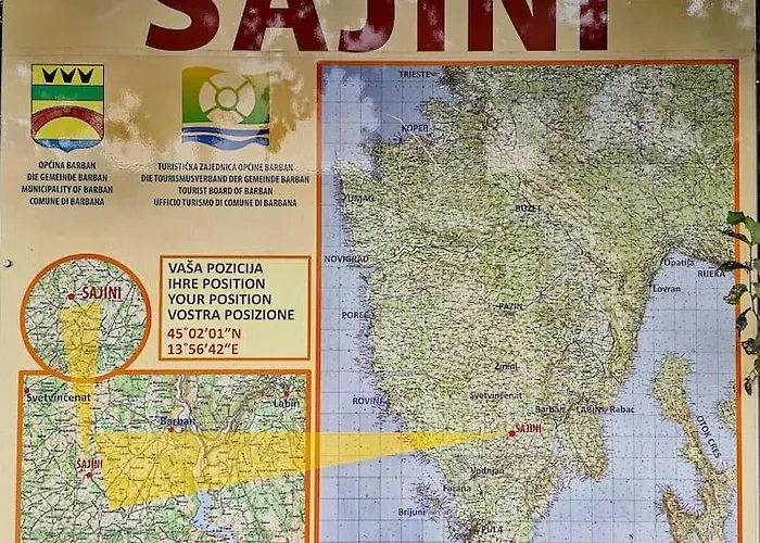 Luna Šajini