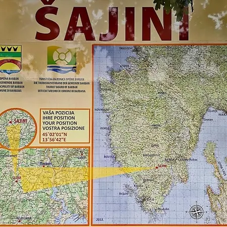 Luna Šajini